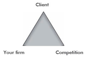 Figure 1: The Strategic Triangle