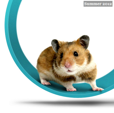 Keep Running Faster – You Might Win the Race to the Bottom! 